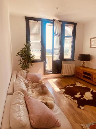 Gallery image of Cozy and bright apartment near the center in Antwerp