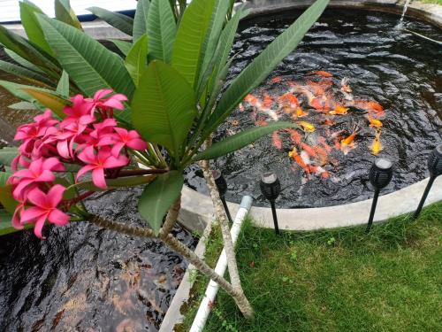 a plant with pink flowers next to a fire pit at Lentera Lombok in Tetebatu