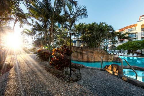 a dog laying next to a swimming pool with palm trees at Oaks Gold Coast Calypso Plaza Suites in Gold Coast