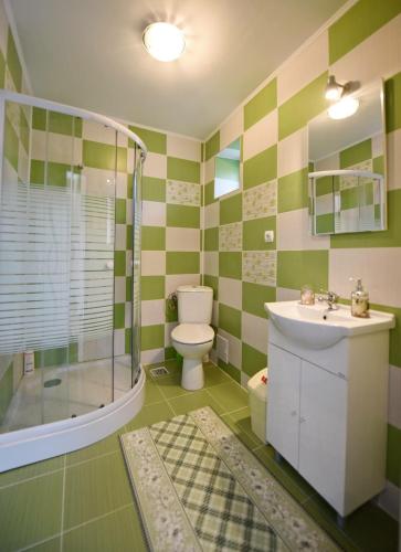ein Badezimmer mit Toilette, Dusche und Waschbecken in der Unterkunft Casa Alexia in Haţeg
