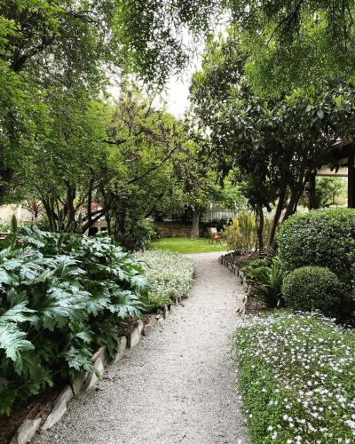 Zahrada ubytování Wild Olive Cottage Clare Valley