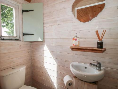 a bathroom with a toilet and a sink at Aston - Shepherd Hut in Craven Arms
