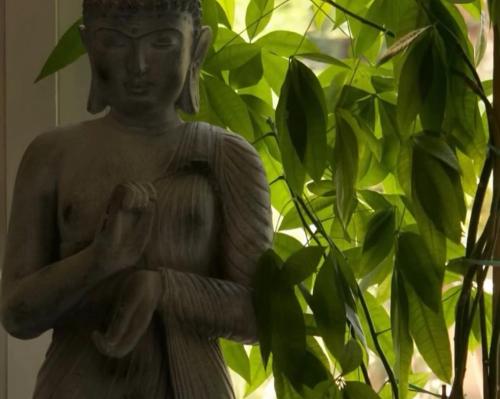 a statue of a man standing next to a plant at 87029house in Scalea