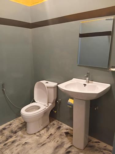a bathroom with a toilet and a sink at Flight search villa and sea food restaurant in Habarana