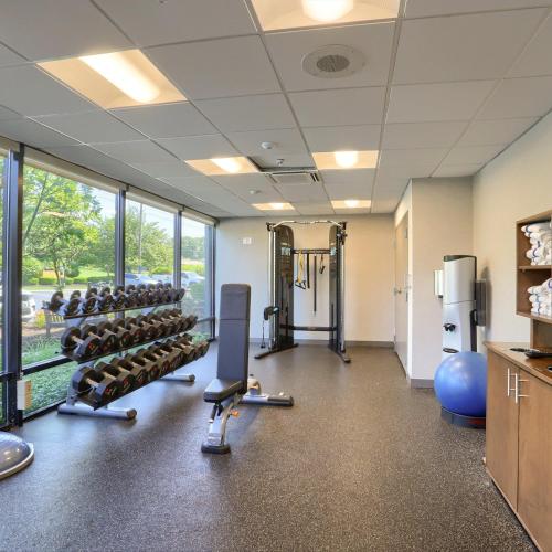 a gym with a row of treadmills and weights at Hampton Inn Harrisburg-East/Hershey in Harrisburg