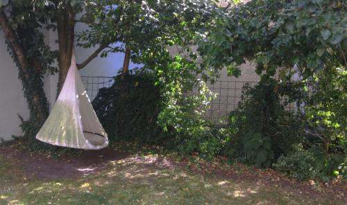 a plastic bag hanging from a tree in a yard at GreenBrook Homes in Aalborg