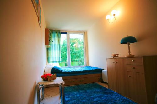 a small room with a window and a blue carpet at Apartament Niebieskie Narie in Kretowiny