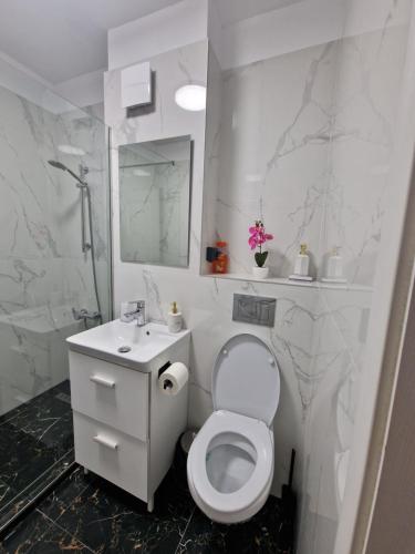 Et badeværelse på Apartament Mamaia Nord