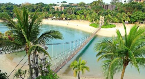 a suspension bridge over a beach with palm trees at Hotel Soloha @ Chinatown in Singapore