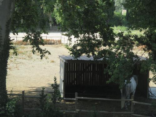 Φυσικό τοπίο κοντά σε αυτή η παραθεριστική κατοικία