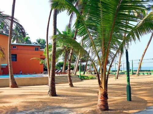 a group of palm trees on a sandy beach at OYO 246 Roy Villa Beach Hotel in Beruwala