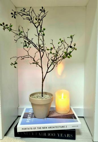 a book with a tree in a pot next to a candle at Ye-stay in Daegu