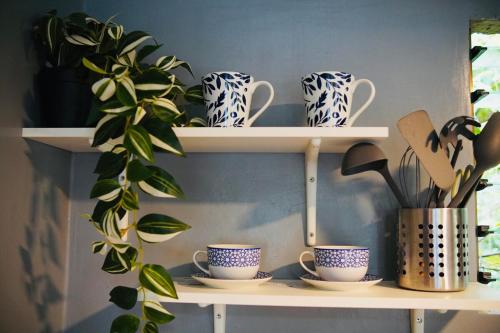 a shelf with three blue and white cups and plants at Richs Crib - Puerto Galera Affordable House in Puerto Galera