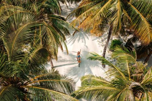 a person riding a bike on the beach with palm trees at One&Only Reethi Rah in Reethi Rah