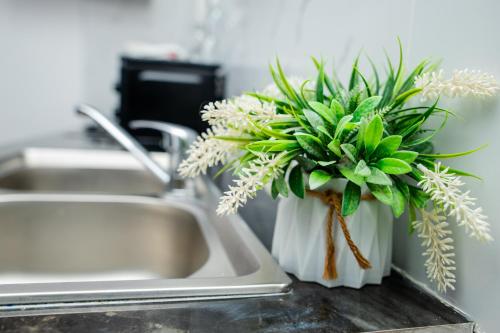 a potted plant sitting on a counter next to a sink at Appartement 1chambre centre-ville in Pointe-Noire