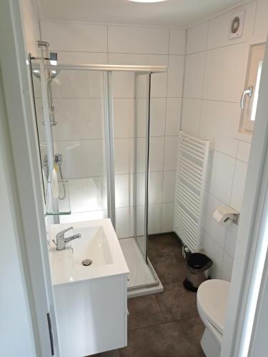 a bathroom with a shower and a sink and a toilet at Holiday Home Maridu Ayla in Arnhem