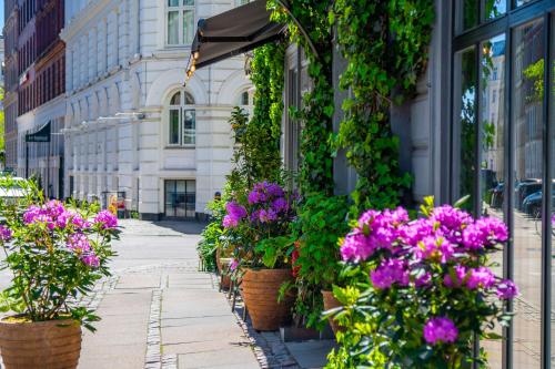 a group of flowers in pots on a street at Axel Guldsmeden in Copenhagen