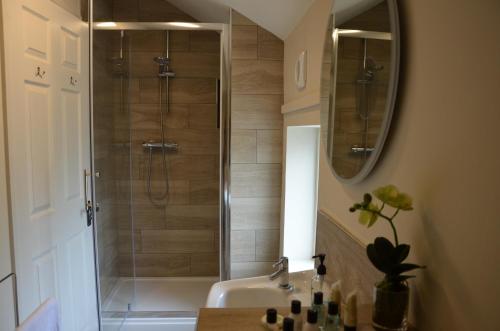 a bathroom with a shower with a sink and a mirror at The Red Lion, Madley in Hereford