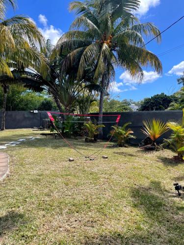 a yard with a palm tree and a fence at Villa Clotilde balaclava in Balaclava