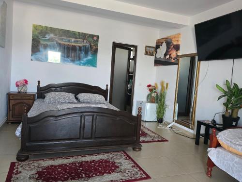 a bedroom with a bed and a tv in it at Casa Rico 2 in Tulcea