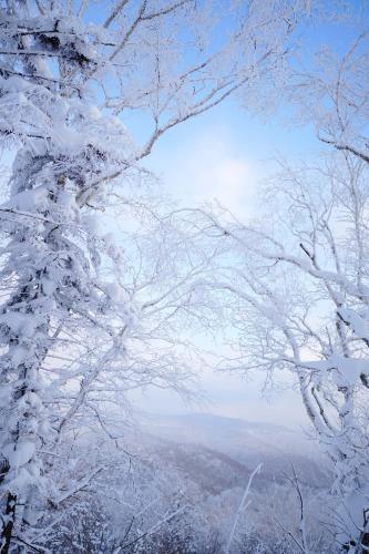 a view of snow covered trees with the sky at Snow house in Sanrenban