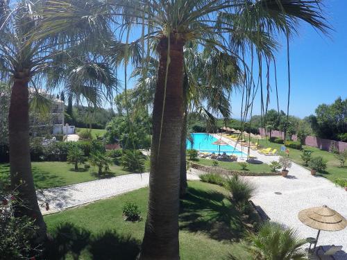 Piscine de l'établissement Luzmar Villas ou située à proximité