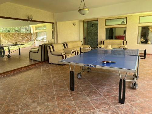 a blue ping pong table in a living room at Dar NFis Suites et chambres de luxe dans un havre de paix vue paradisiaque au bord du lac in Lalla Takerkoust