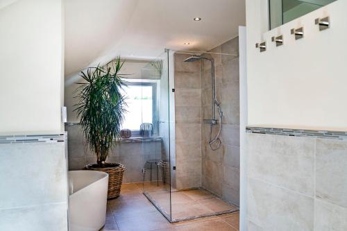 ein Badezimmer mit Dusche und Topfpflanze in der Unterkunft Ferienwohnung Chris in Haltern