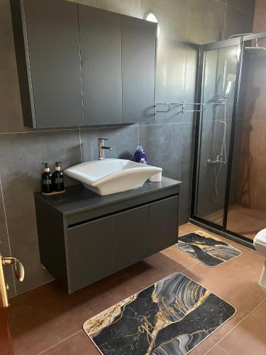 a bathroom with a sink and a shower at Villa for Rent in Kappedhes