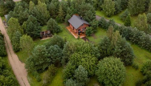 an aerial view of a house in the woods at Männisalu cozy houses with hot tube and many extras 