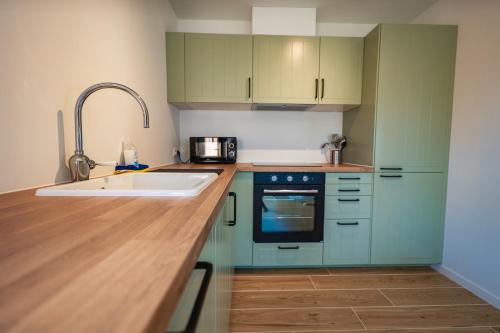 a kitchen with green cabinets and a sink at Loxodonta Lodge - Gîte 4 pers proche de Pairi Daiza in Cambron-Casteau