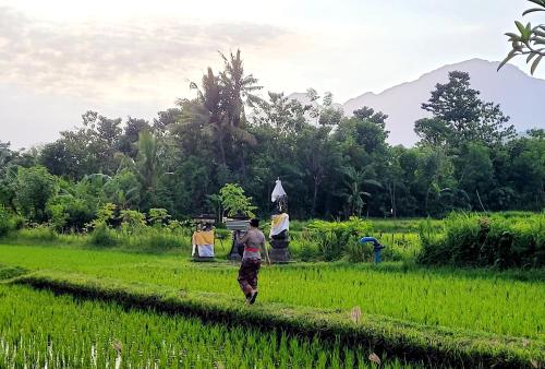 a group of people working in a field at Umma Bali Menjangan Retreat in Banyuwedang