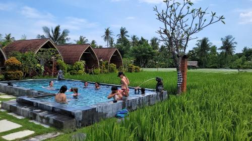 a group of children playing in a swimming pool at Umma Bali Menjangan Retreat in Banyuwedang