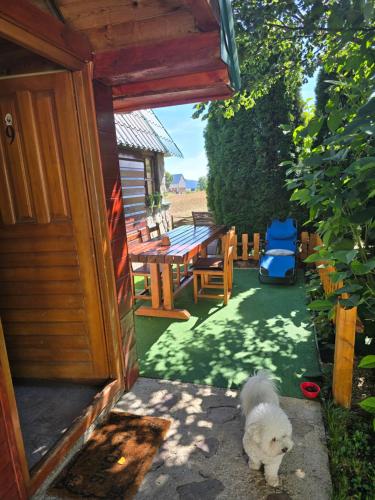 a white dog standing outside of a house at Holiday Home Vile Calimero in Žabljak