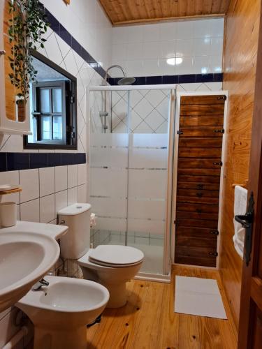 a bathroom with a toilet sink and a shower at Casa con alma canaria in Los Realejos