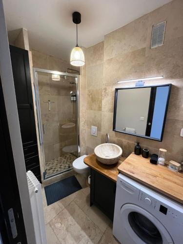 a bathroom with a sink and a toilet and a tv at Le Relais des Cyclamens Bron in Bron