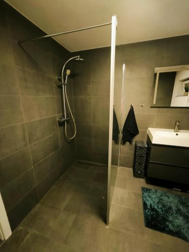 a bathroom with a shower and a sink at Ferienwohnung Gute Zeit in Sundern