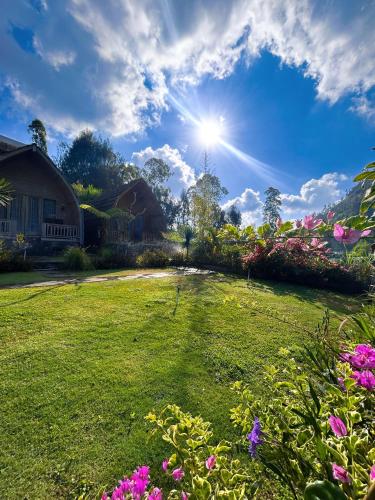 a yard with pink flowers and the sun in the sky at Batur cottage in Kubupenlokan