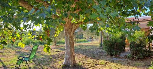 Campagne Carbonel