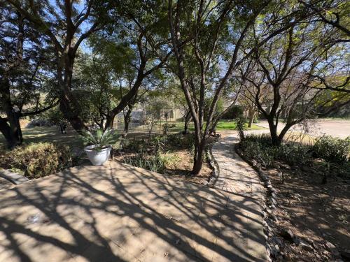 a shadow of trees on a path in a park at Stay Nest Guesthouse in Chartwell