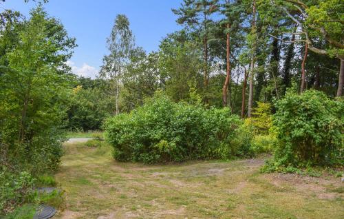 a garden with bushes and trees on a sunny day at 1 Bedroom Cozy Home In Blentarp in Blentarp