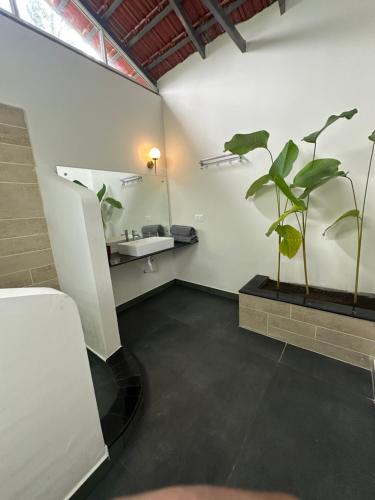a bathroom with a sink and a plant at Sky Holiday Homestay Cottages Madikeri Kushalnagar Coorg in Kushālnagar