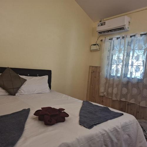 a bedroom with a white bed with a window at Ave Maria Guesthouse in Colva