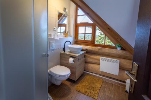 a bathroom with a toilet and a sink at BeaR's LOG in Seliste Dreznicko