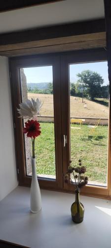 two vases on a window sill with a view of a field at Chambre Swingy - Gîte les Zazous in Lormes