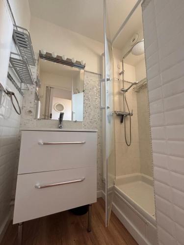 a bathroom with a sink and a shower at Etoile de thau in Frontignan