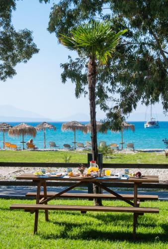 a picnic table in front of a beach with a palm tree at Sunwaves Beach Hotel in Vasiliki