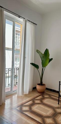 Alicante Beach Home