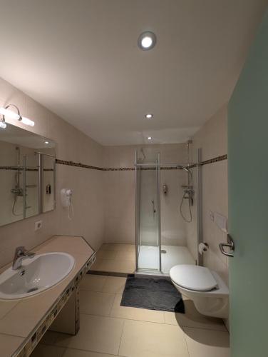 a bathroom with a shower and a toilet and a sink at Hotel & Restaurant Rösselsquelle in Ludwigswinkel