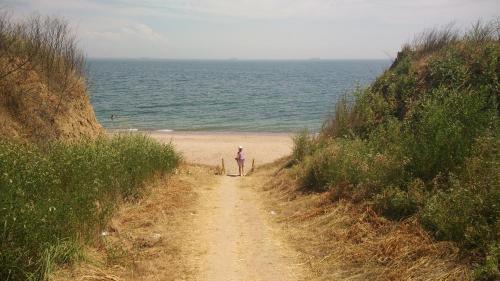 a person walking down a dirt path on the beach at Rosemarino Country House in Chornomorsk